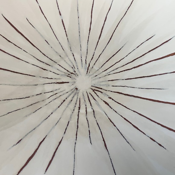 Pier 1 Sanctuary Starburst Stoneware 8.5” Salad Dessert Plates Set of 3 - Picture 5 of 7